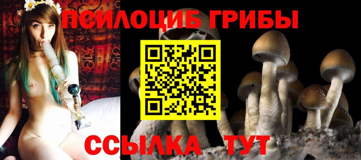 где продают   Галлюциногенные грибы мухоморы  Галлюциногенные грибы Magic Shrooms  Вход с VPN  Советская Гавань 